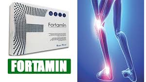 Fortamin joint care